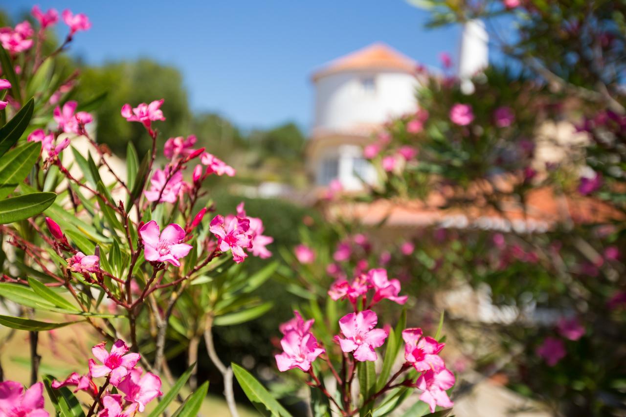 Quinta Do Cabo Guesthouse Azoia  Eksteriør bilde